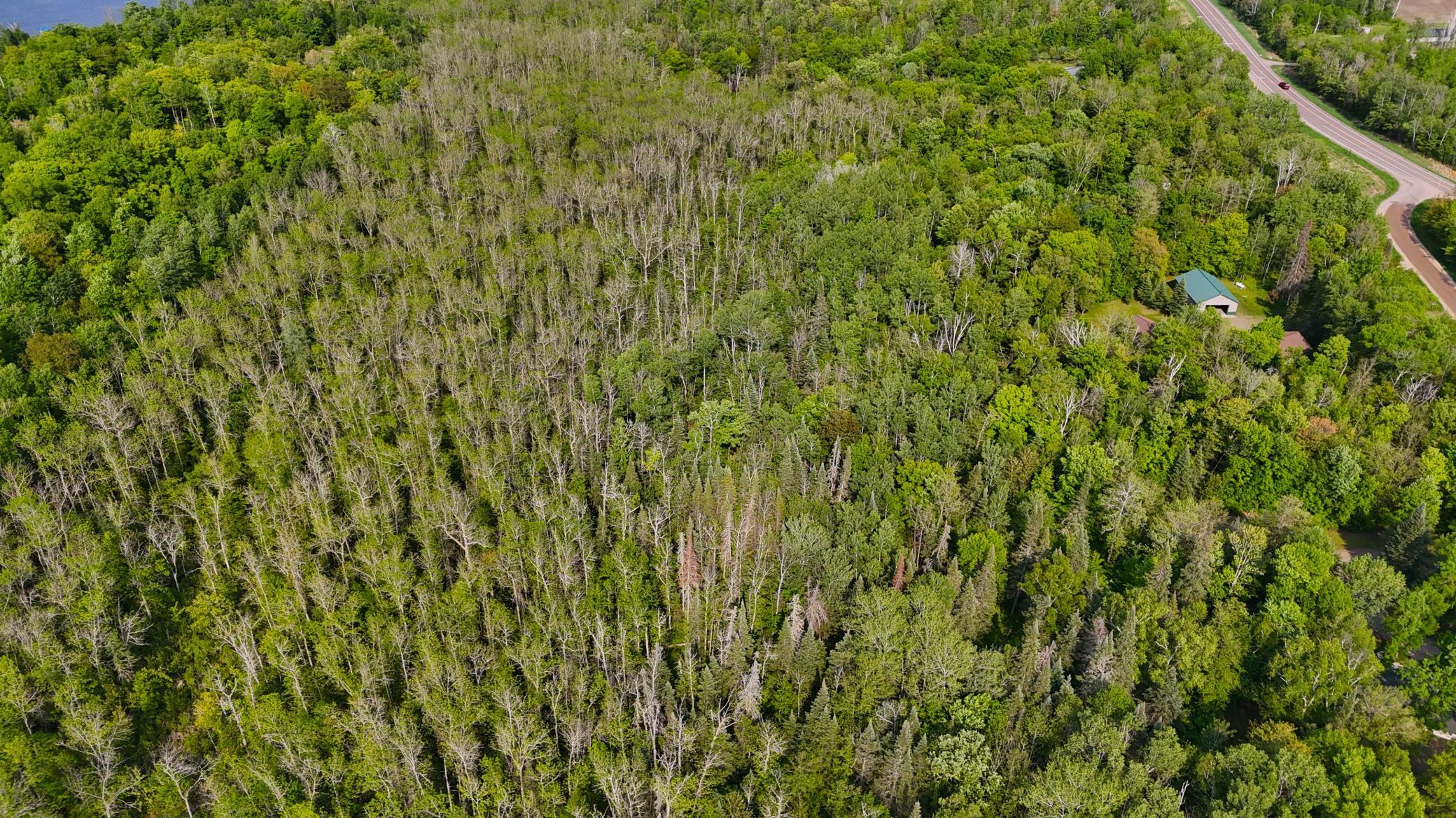 DJI_20250530170220_0727_D.JPG