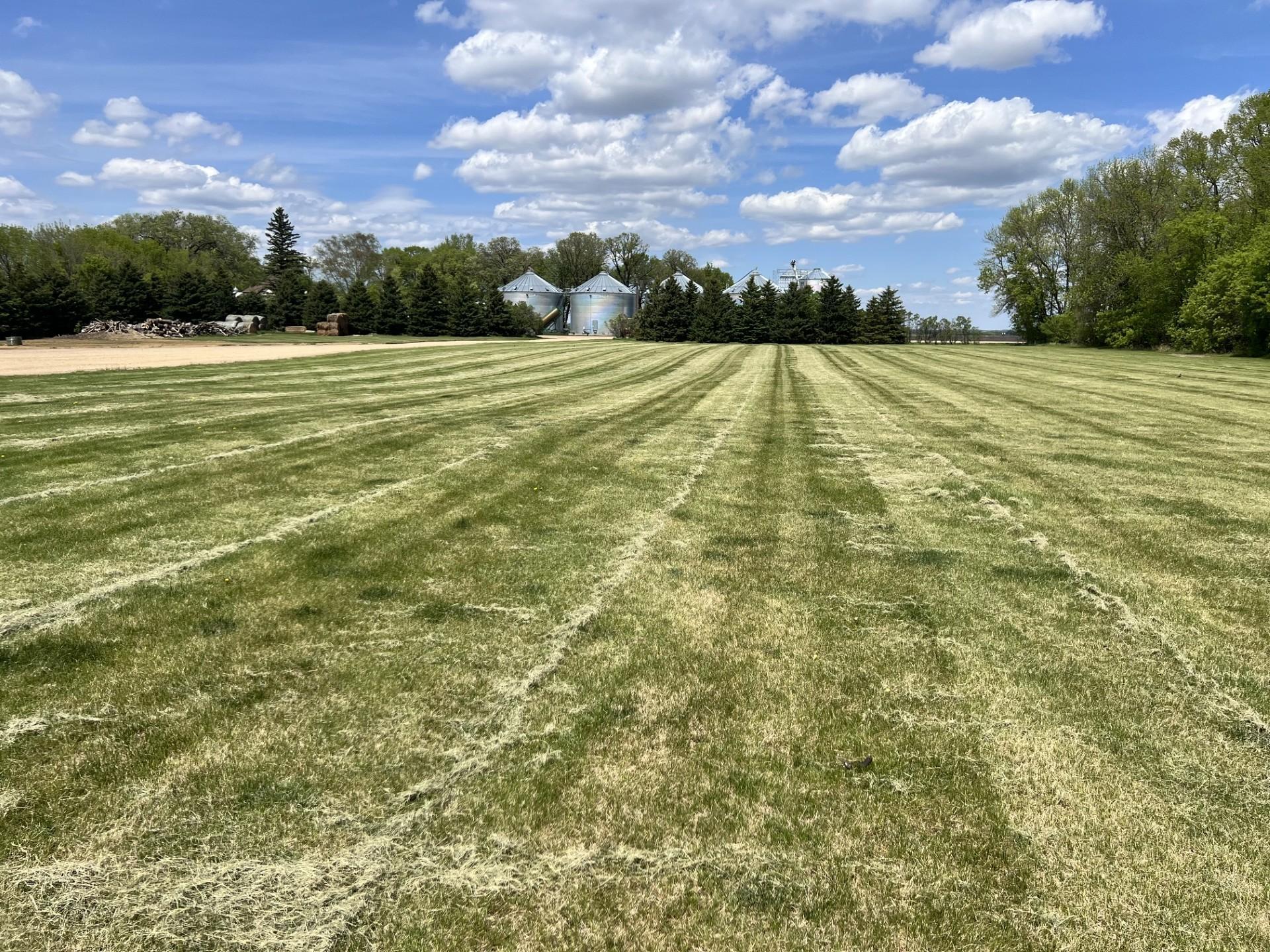 Front lawn
