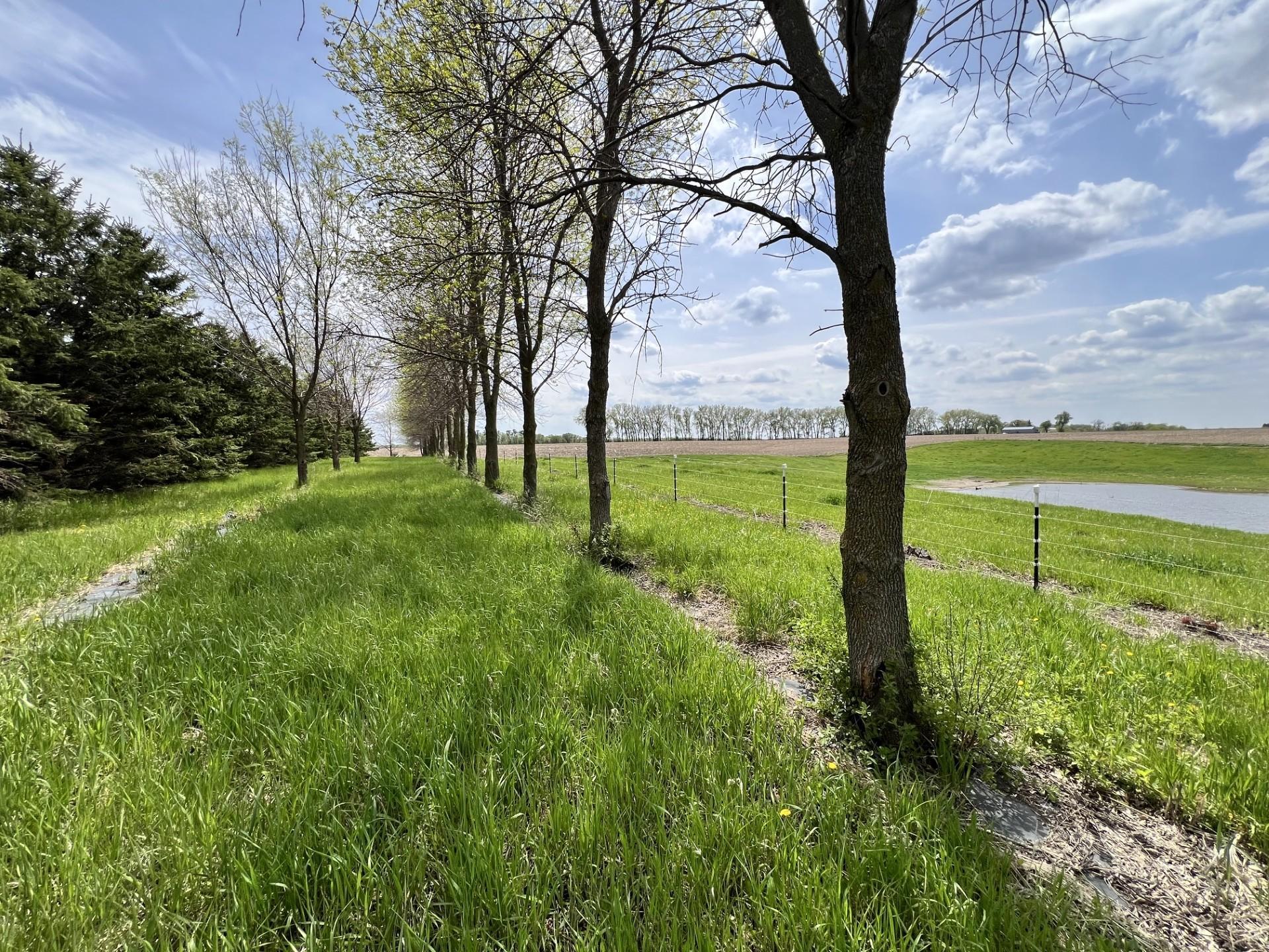Pasture