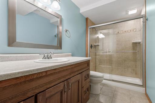 Lower level updated 3/4 bathroom with walk in shower. So bright and airy!