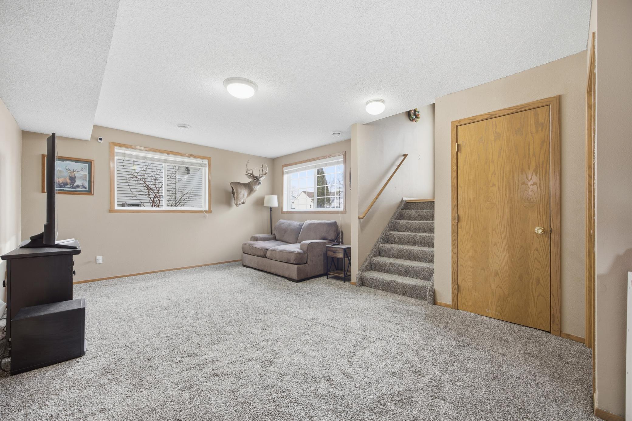 Lower Level Living Room