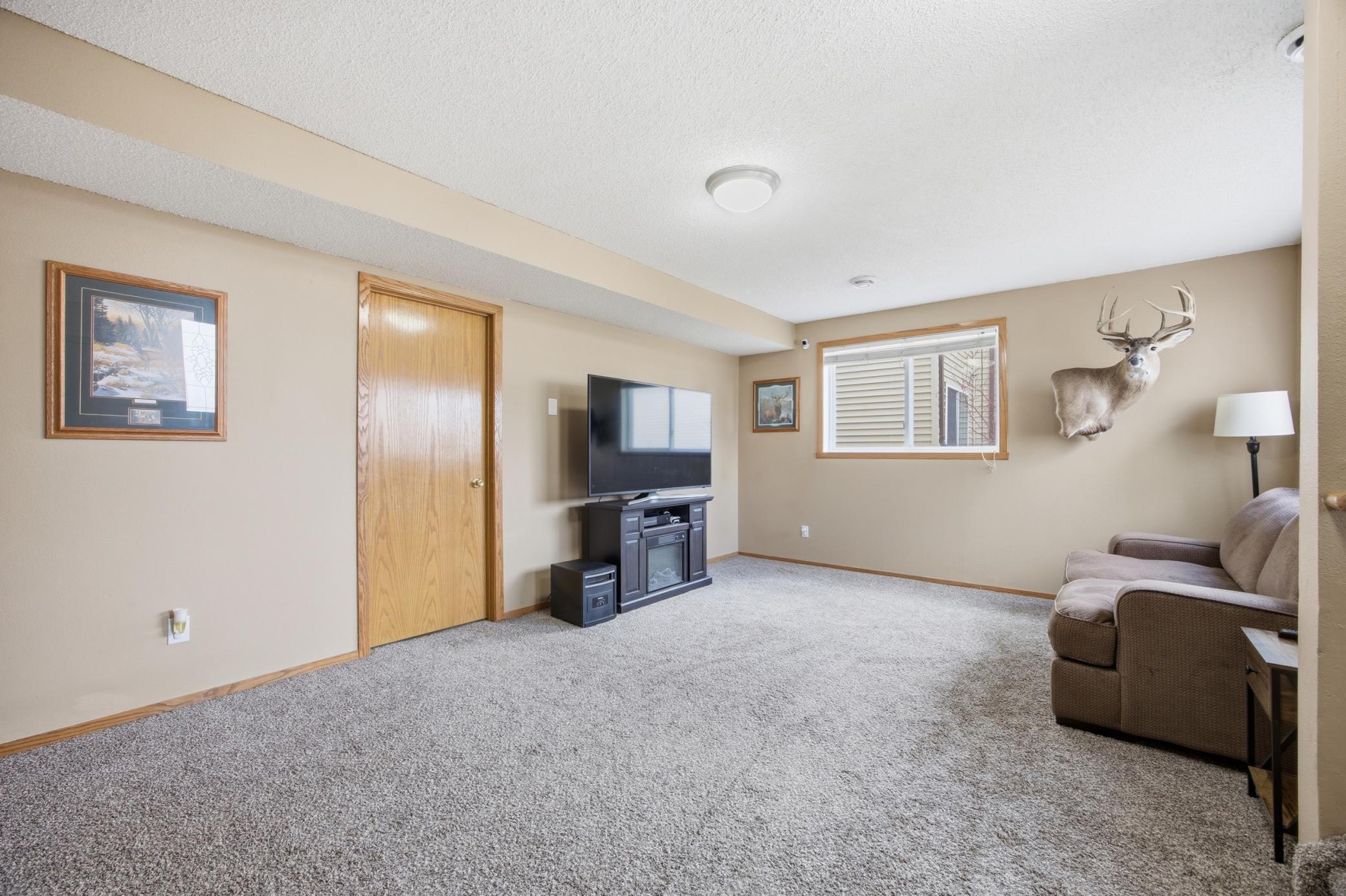 Lower Level Living Room