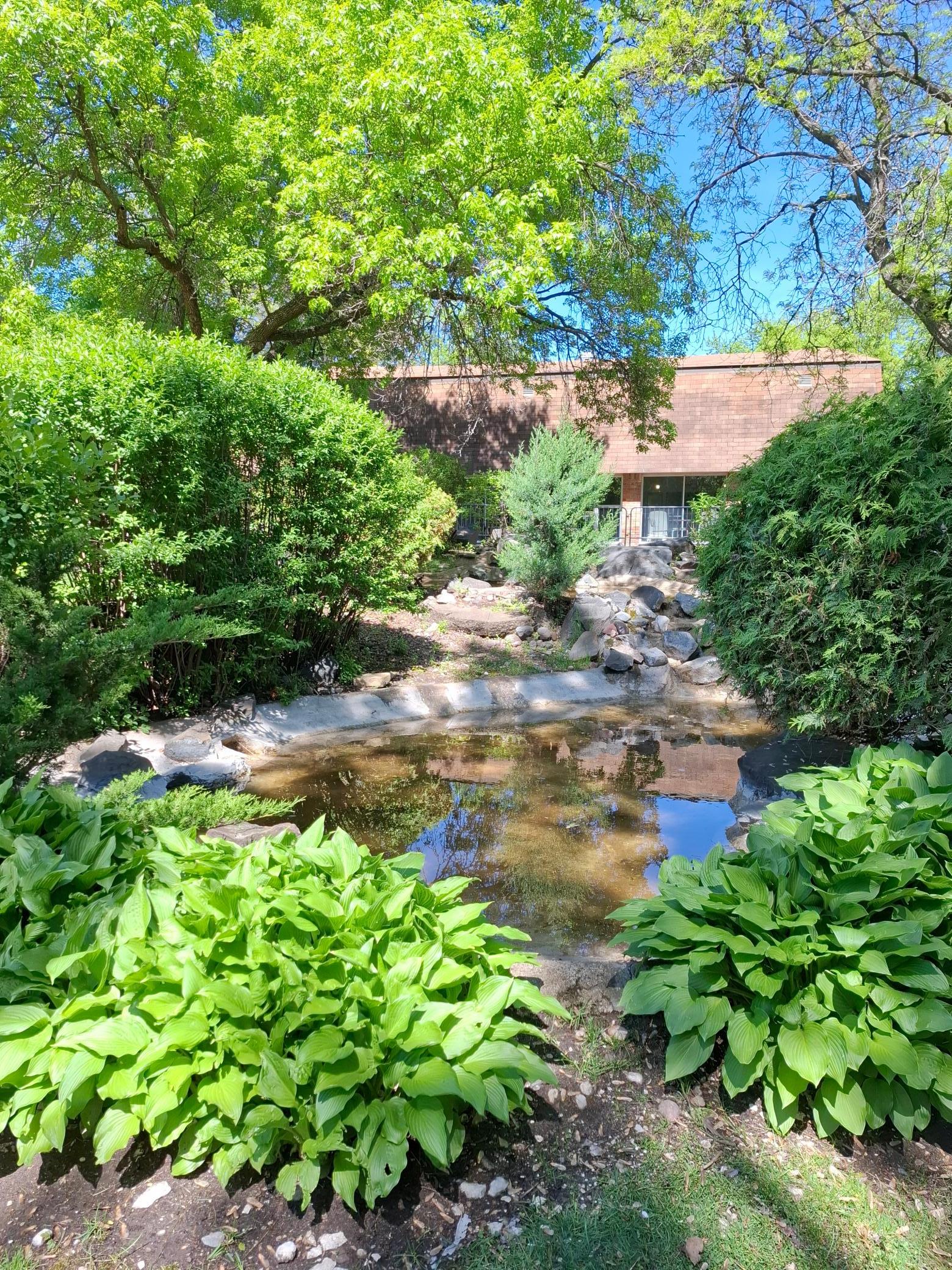The fountain and ponds outside the clubhouse.