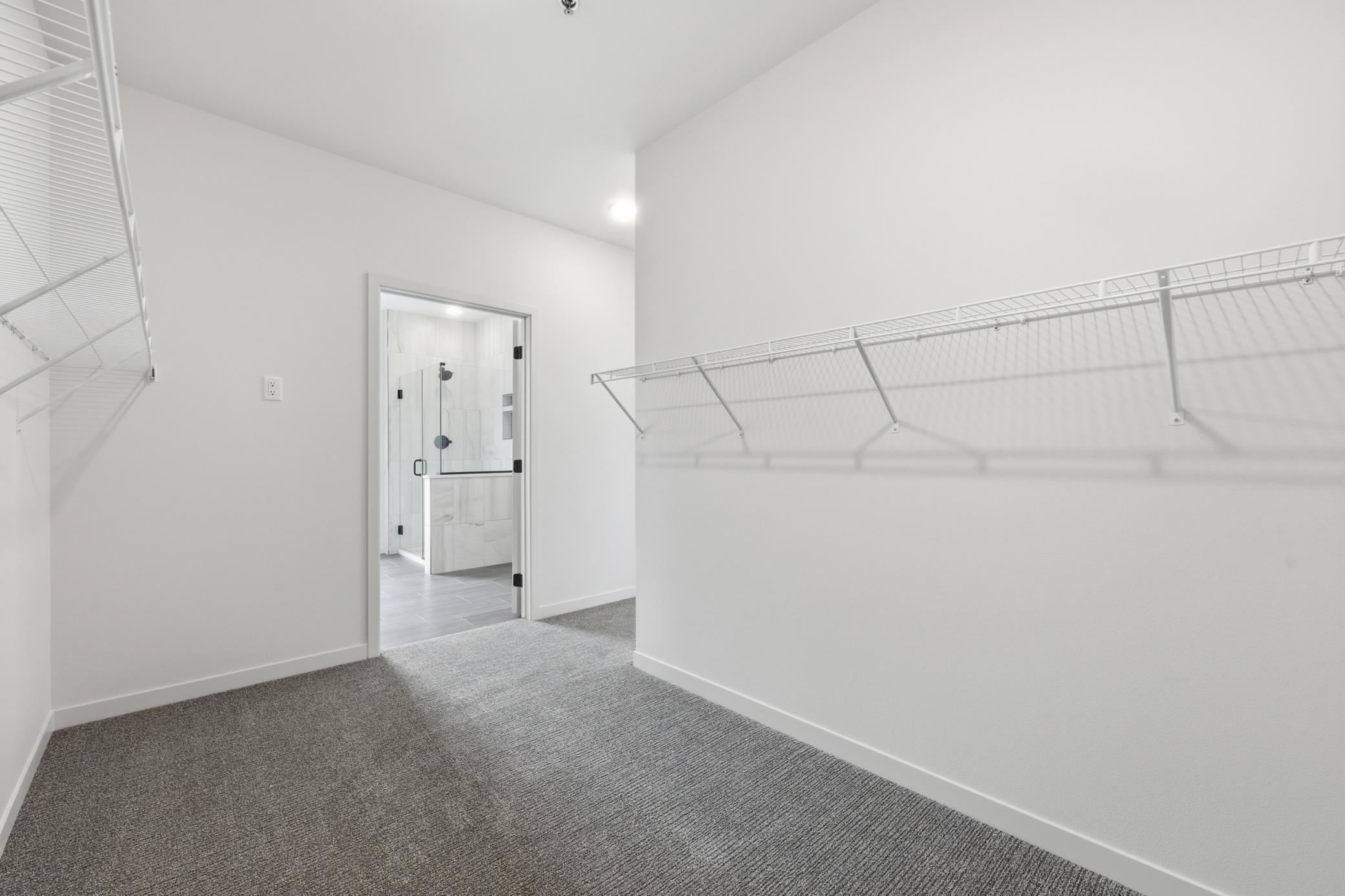 Primary Closet