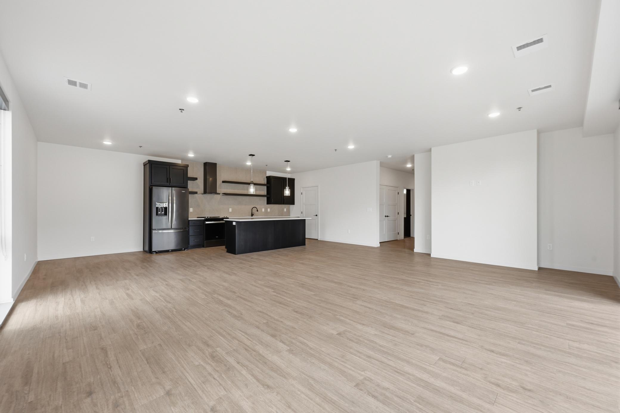 Living Room / Kitchen