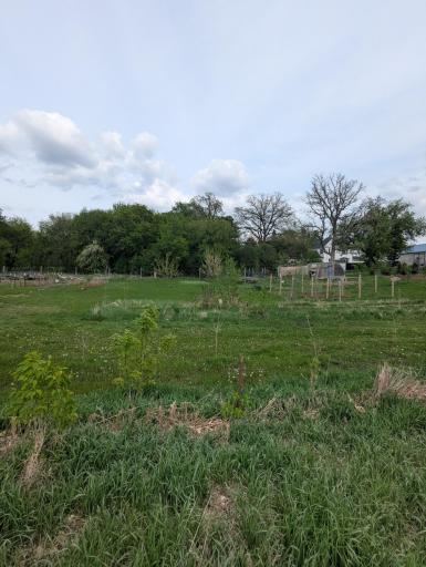 914 NE 2nd Avenue NE, Long Prairie, MN 56347