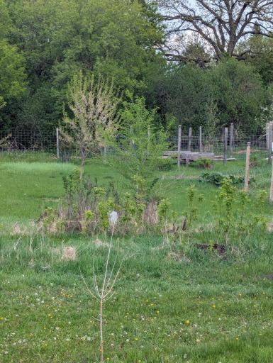914 NE 2nd Avenue NE, Long Prairie, MN 56347