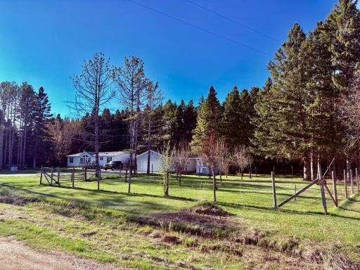 Fenced in Orchard