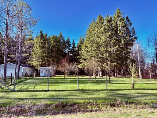 Fenced in orchard