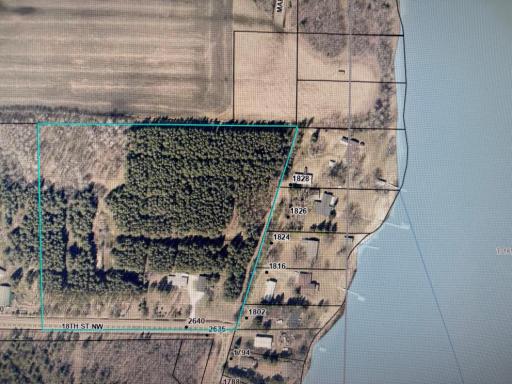11 1/2 acres- pine plantation