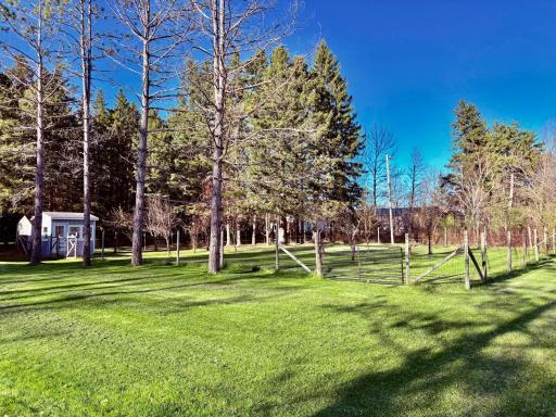 Fenced in orchard