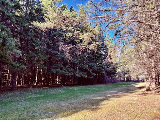 Trails throughout the plantation