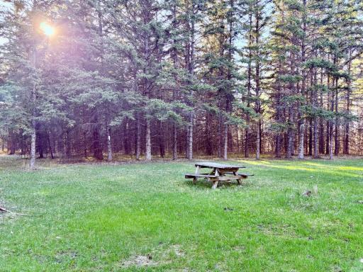 Picnic area/opening