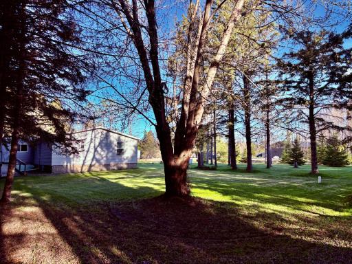 Northwest side of the home/yard