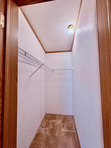 Walk in closet in BR 3