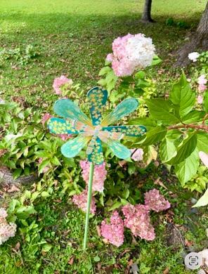 Perennials