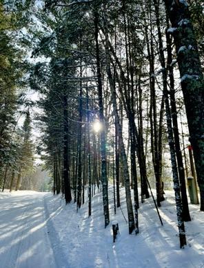 Winter Drive