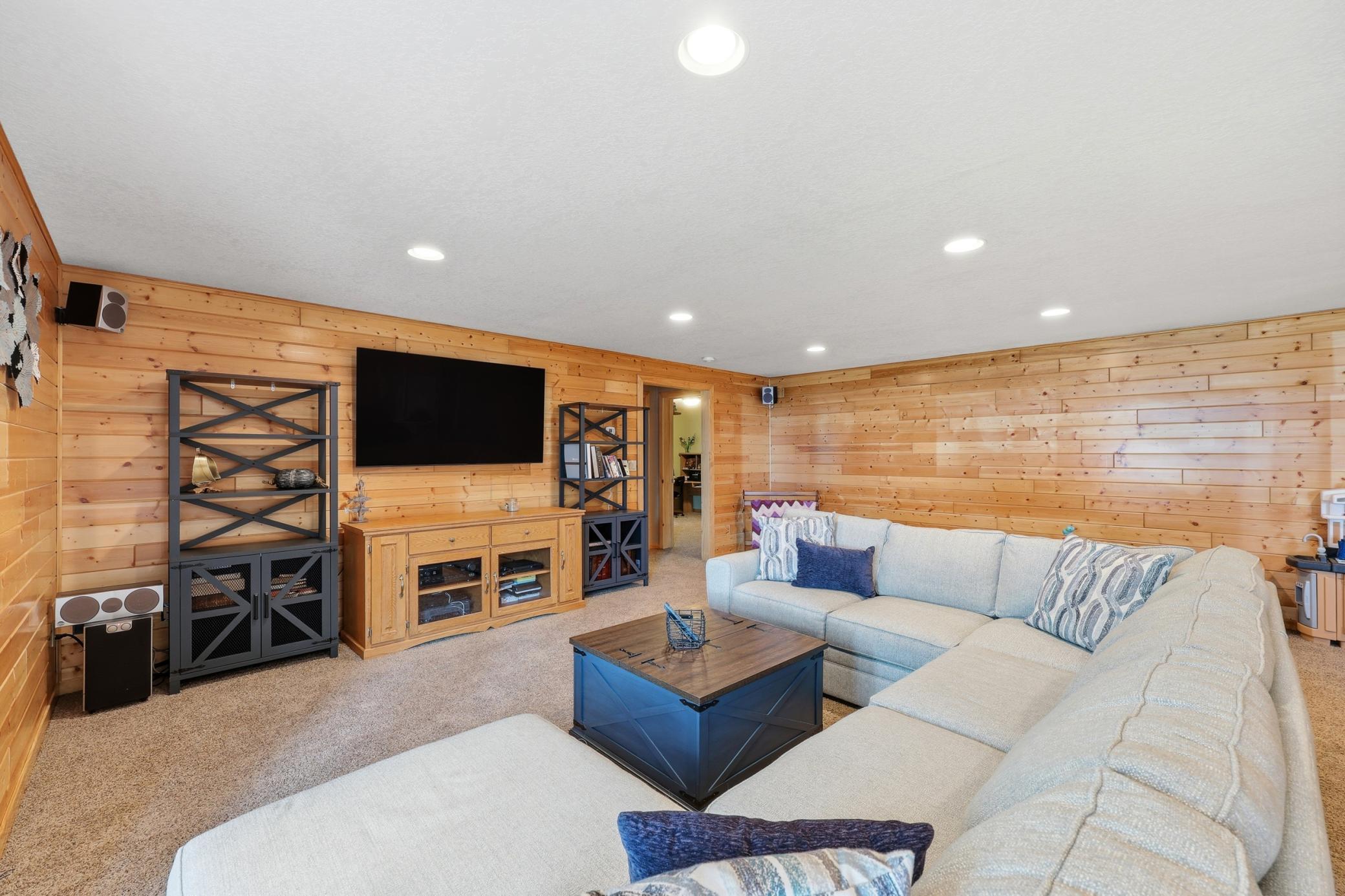 Family Room (lower level)