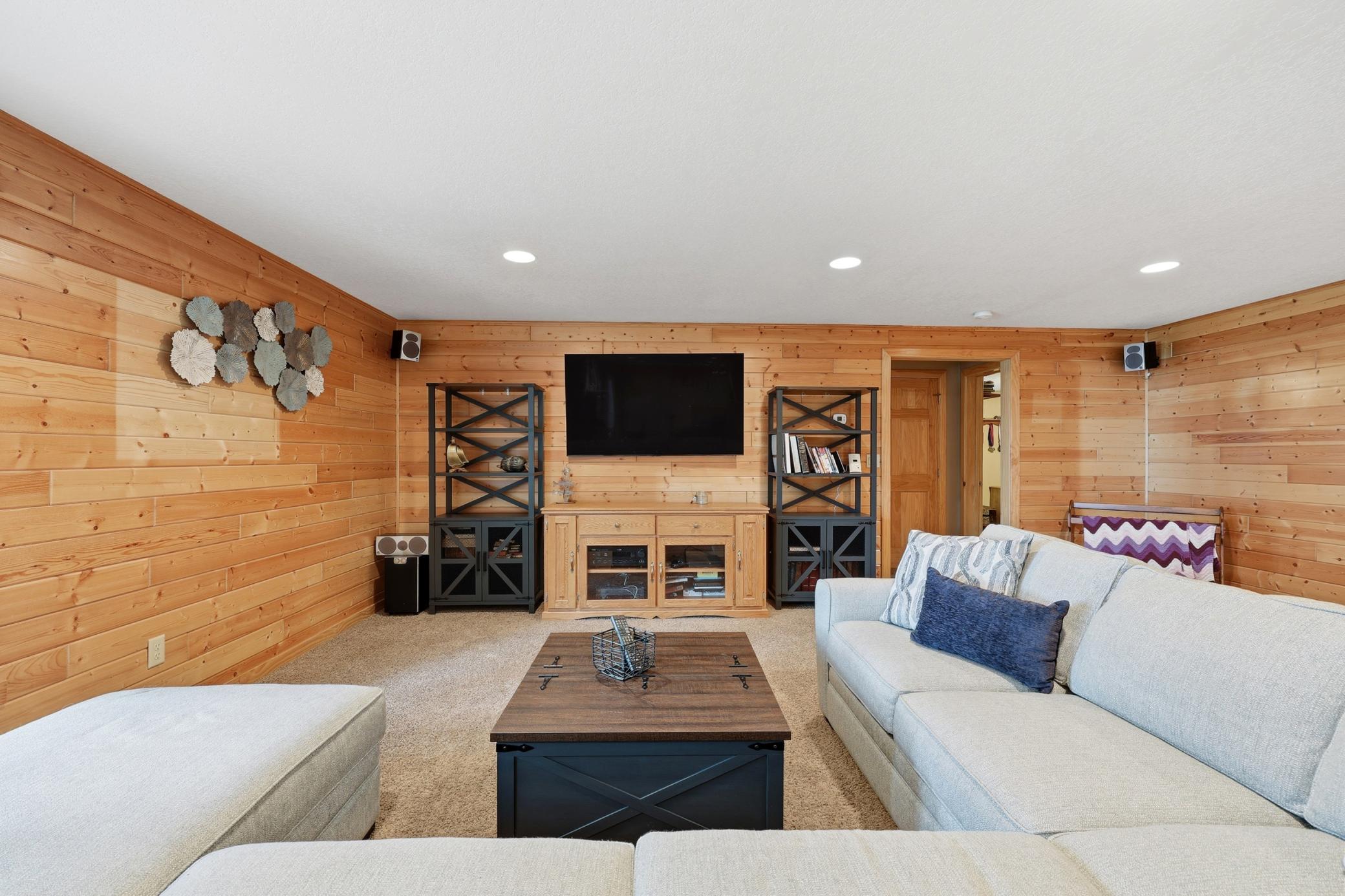 Family Room (lower level)