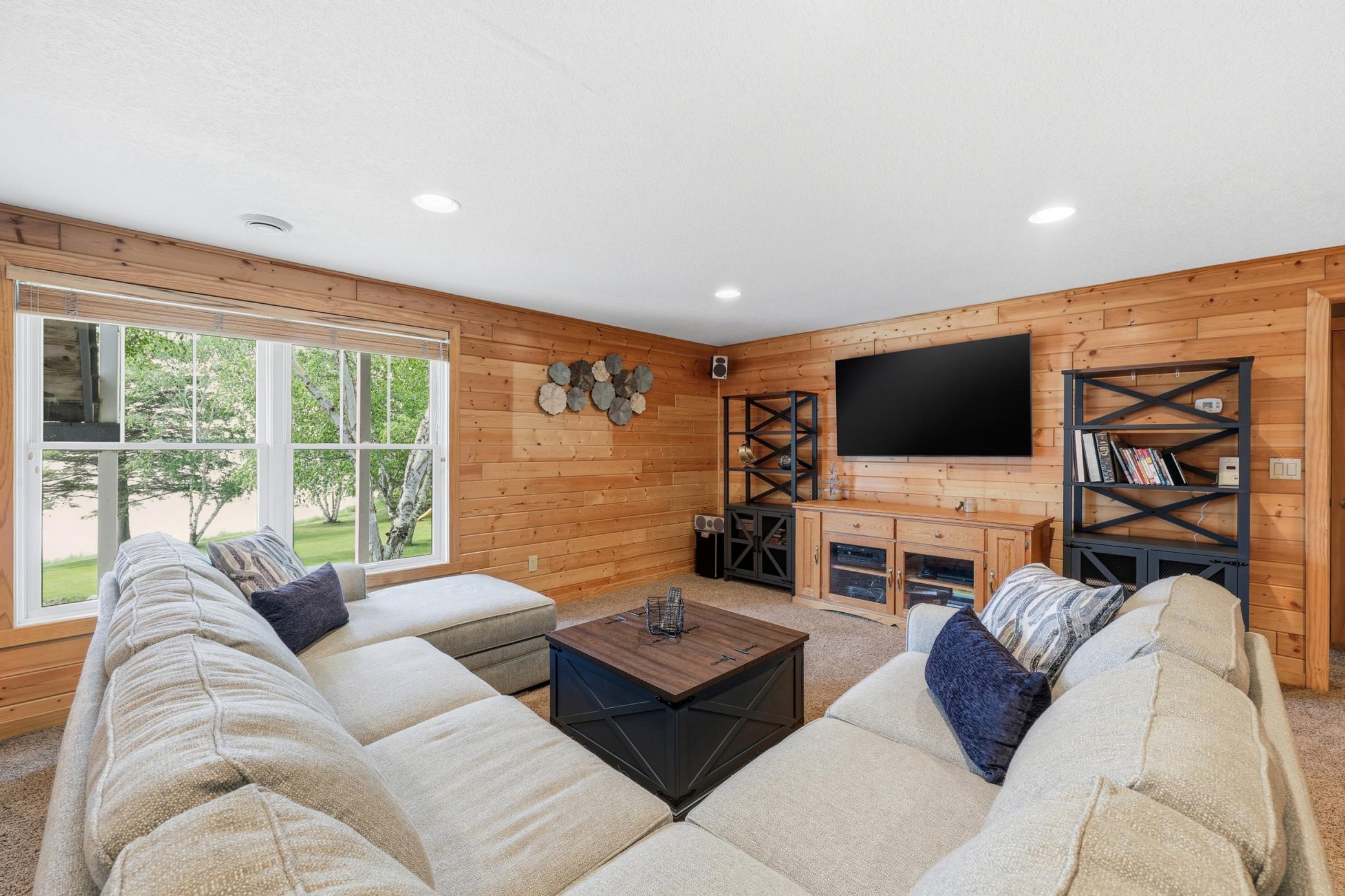 Family Room (lower level)