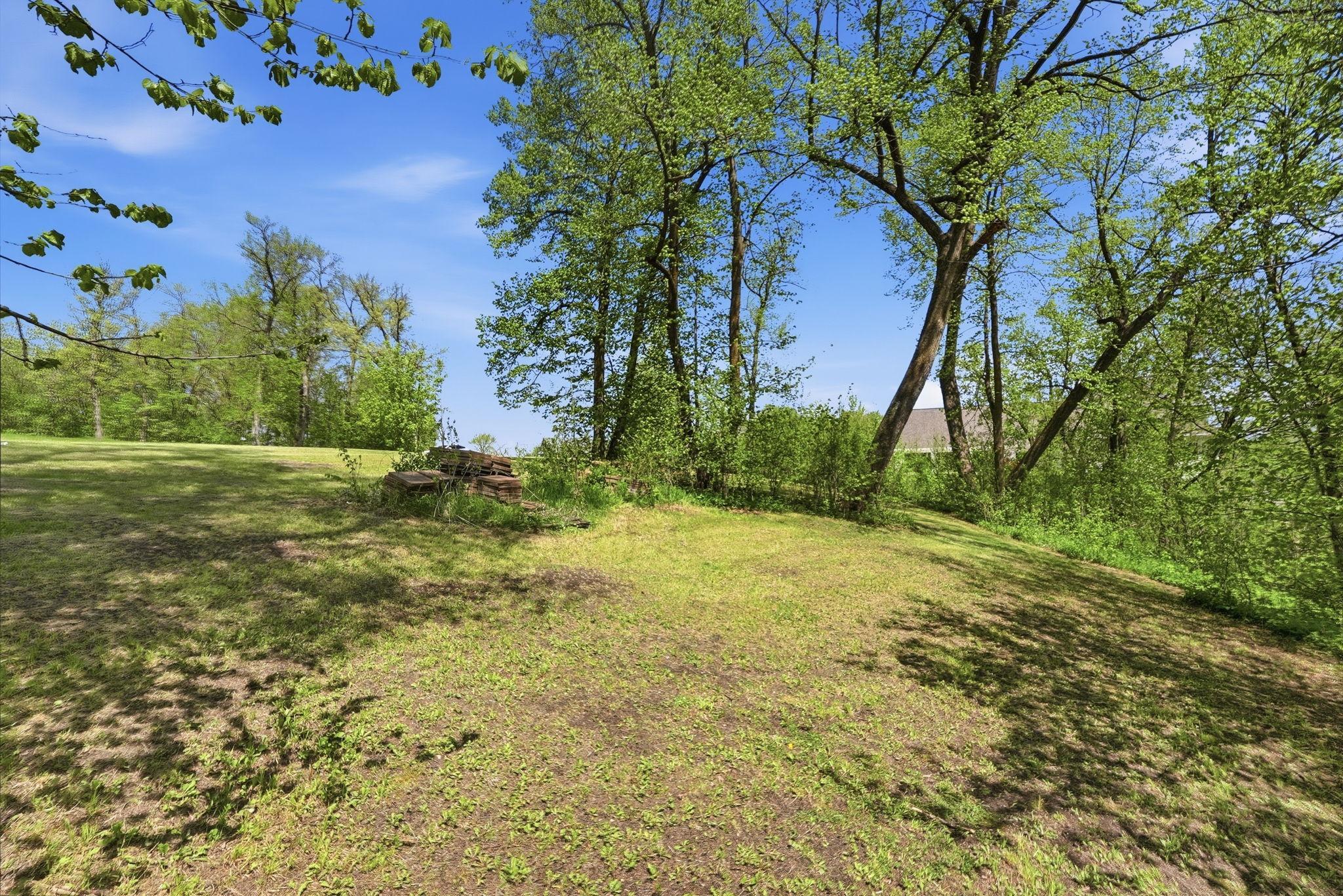 32-web-or-mls-DSC09266.jpg
