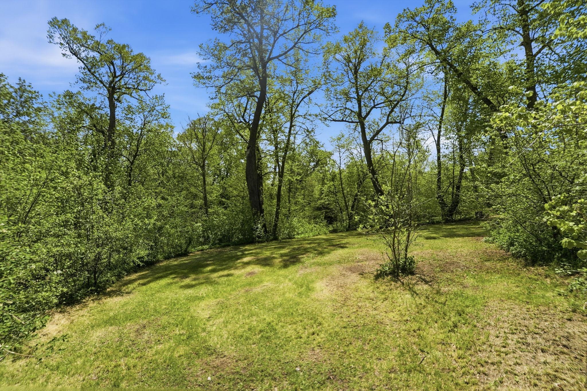 35-web-or-mls-DSC09286.jpg