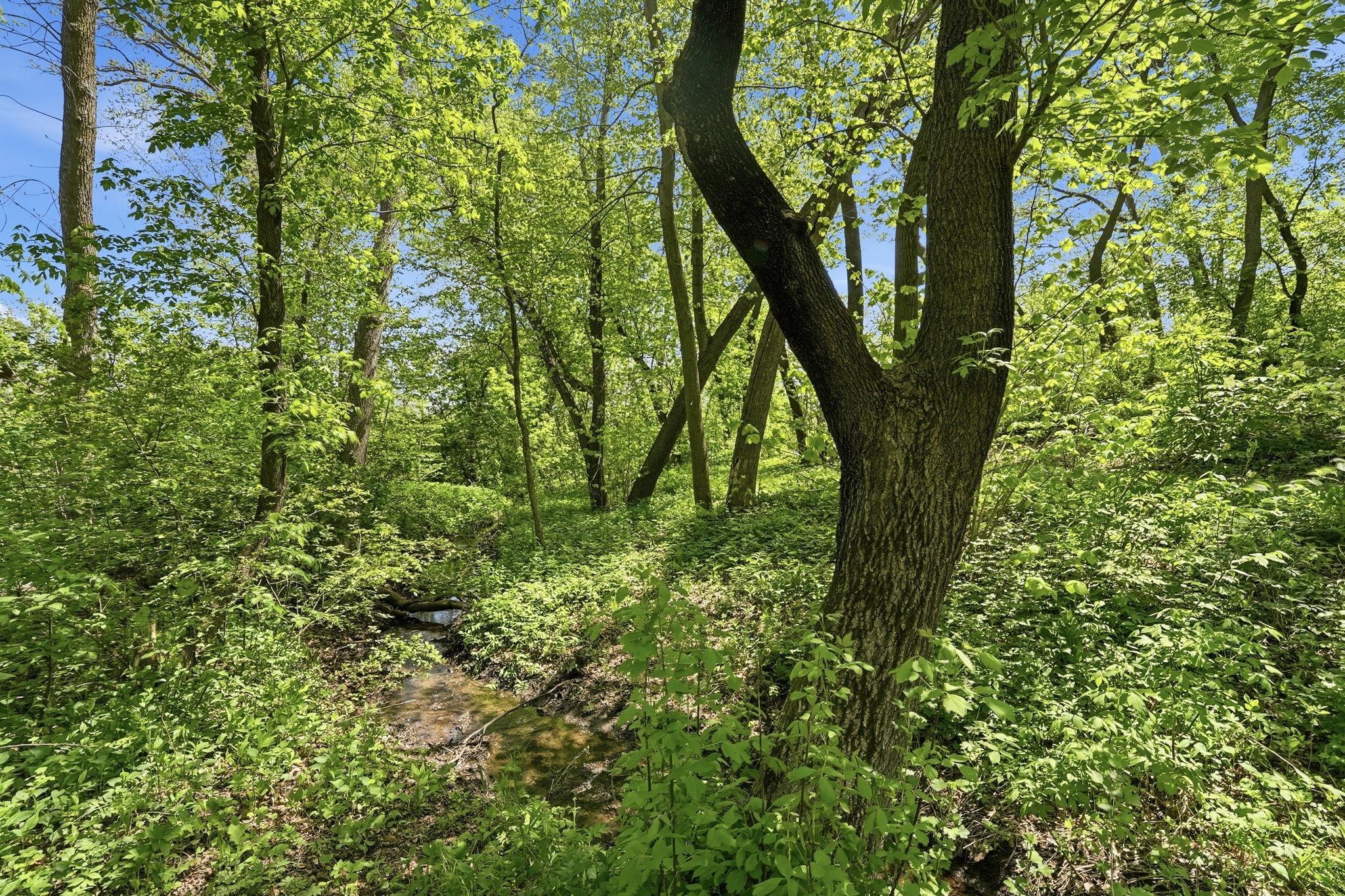 29-web-or-mls-DSC09251.jpg