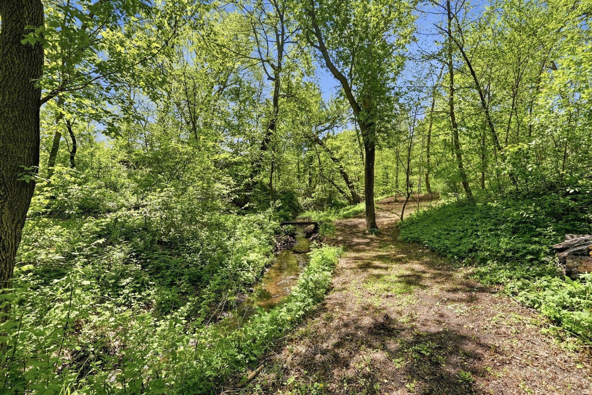 28-web-or-mls-DSC09246.jpg