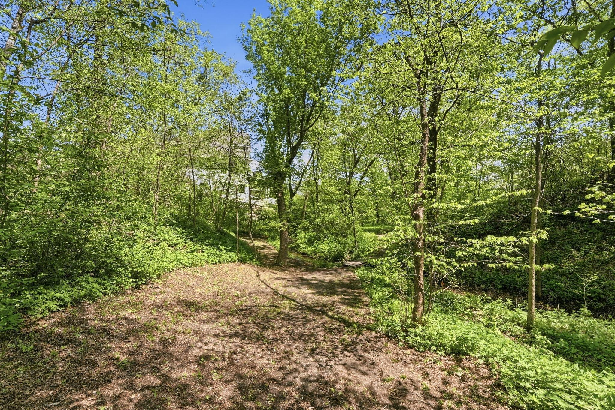 31-web-or-mls-DSC09261.jpg