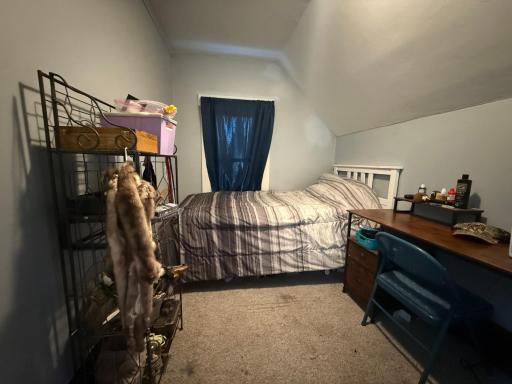 Photo 27