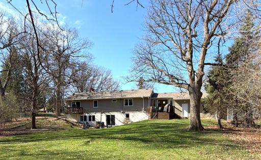 The beauty of this wooded .5-acre lot shines. Spot the clues of local wildlife visiting your private backyard! This view showcases the mature trees and the peaceful, secluded atmosphere this one-level walk-out home provides.