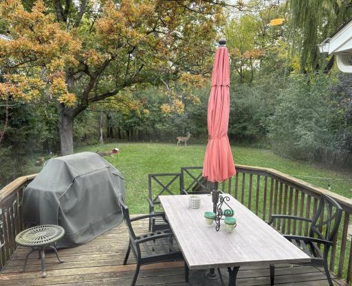 View of a backyard visitor in the beautiful private wooded lot.