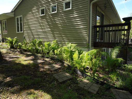 The side yard fills out in perennials in the spring.