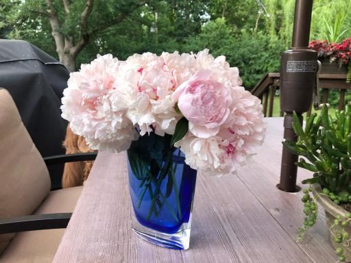 Decorate your home with beautiful flowers from your own perennial gardens.