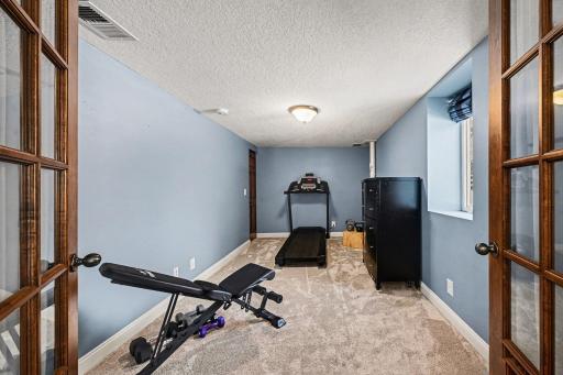 The 3rd bedroom features elegant glass French doors, newer carpet in 2024, a window, and a lit closet with shelving. Currently a workout room, it also houses the active radon mitigation system & 100-amp panel for peace of mind.