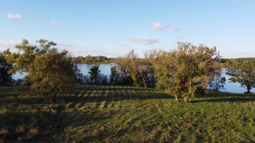 42961 165th Street, Clitherall, MN 56524