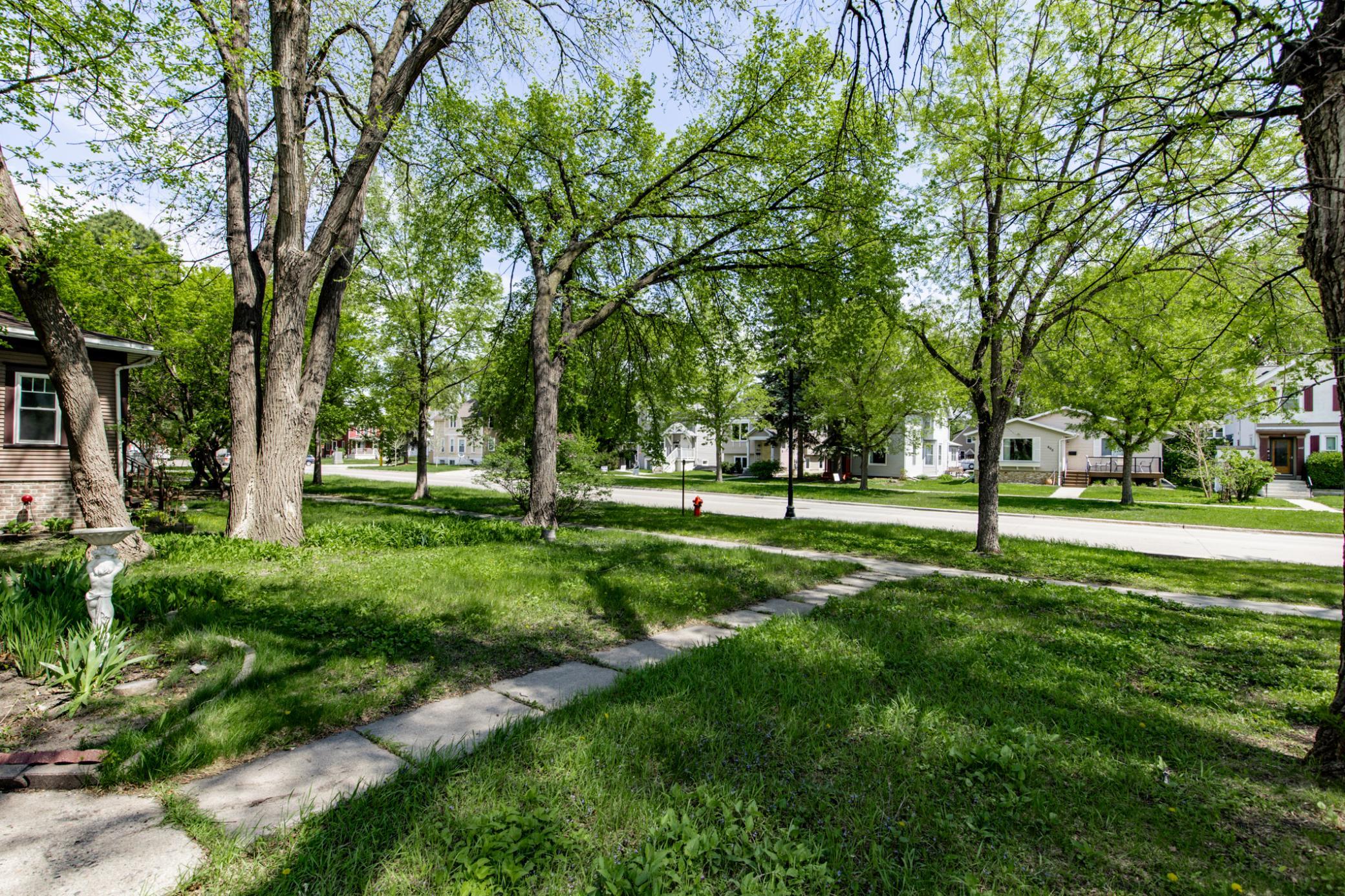 Front Yard