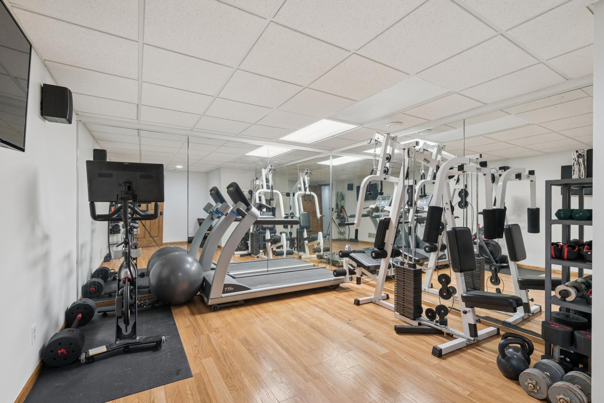 Lower Level Gym