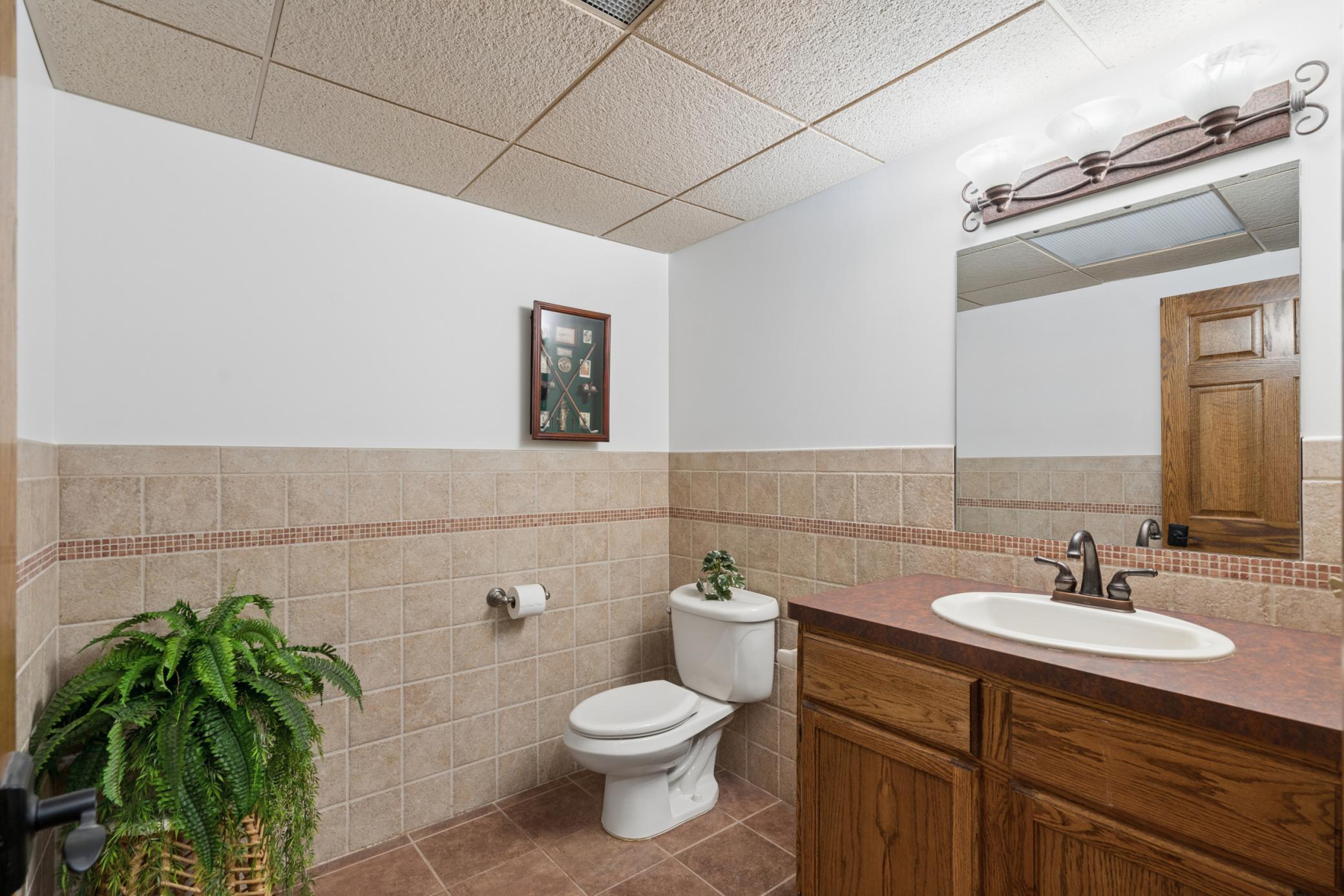 Lower Level Bathroom
