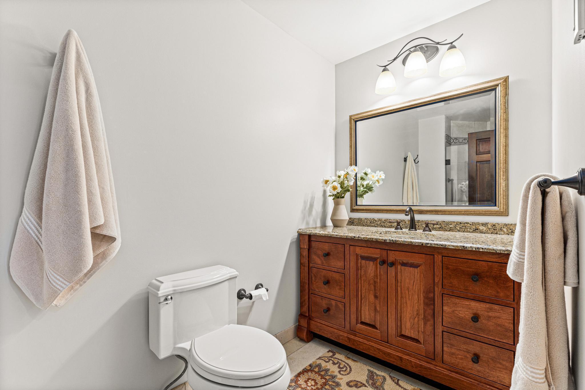 Owner's private bathroom, shower and vanity.