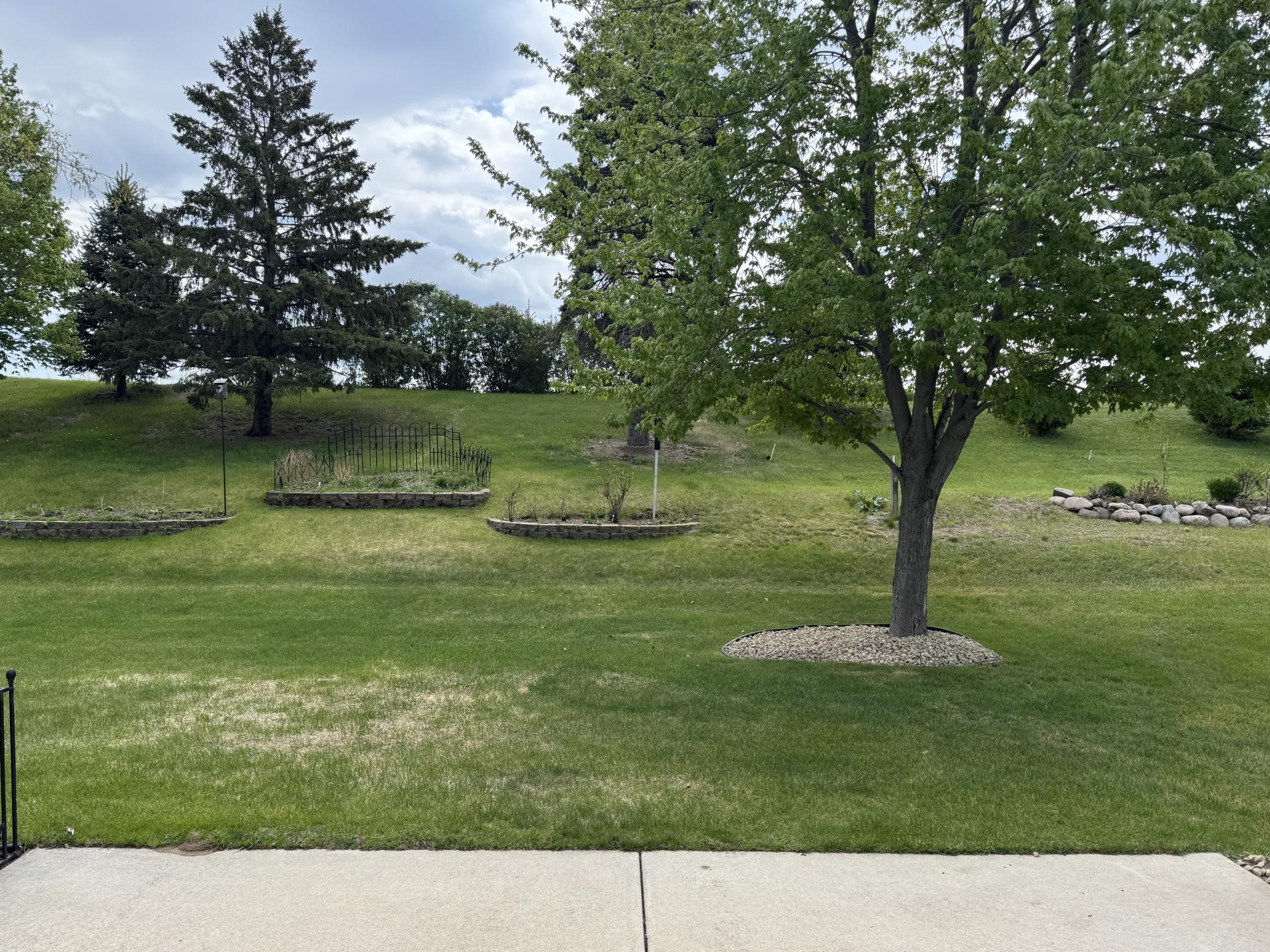 Backyard.jpg
