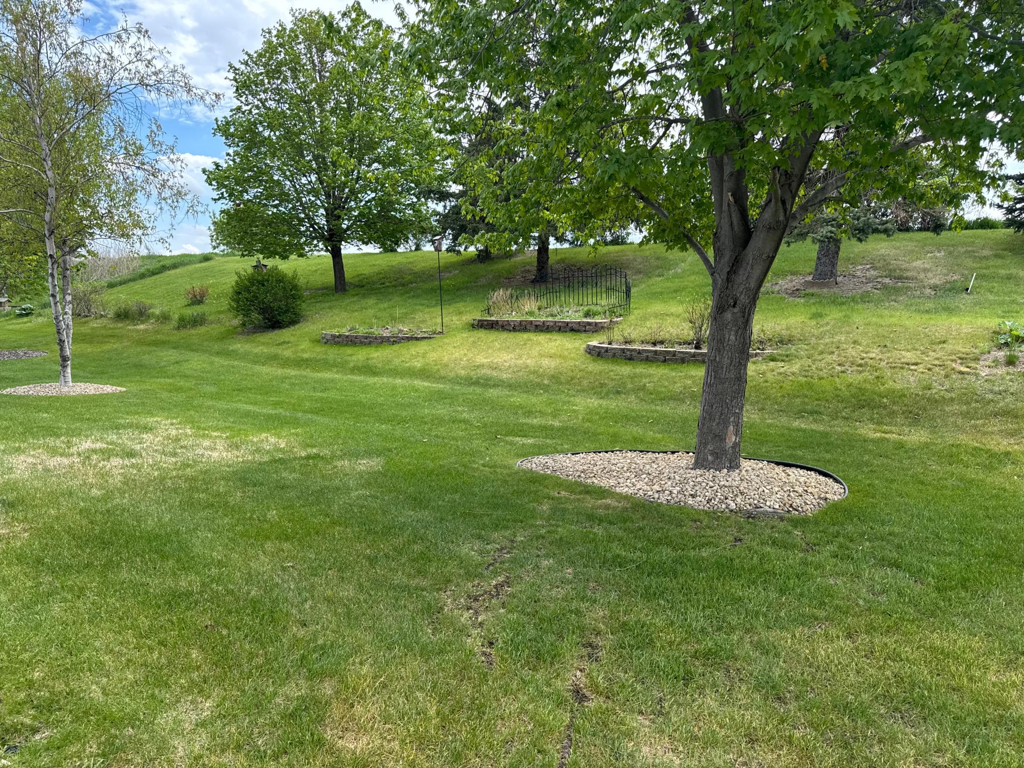 Yard.jpg