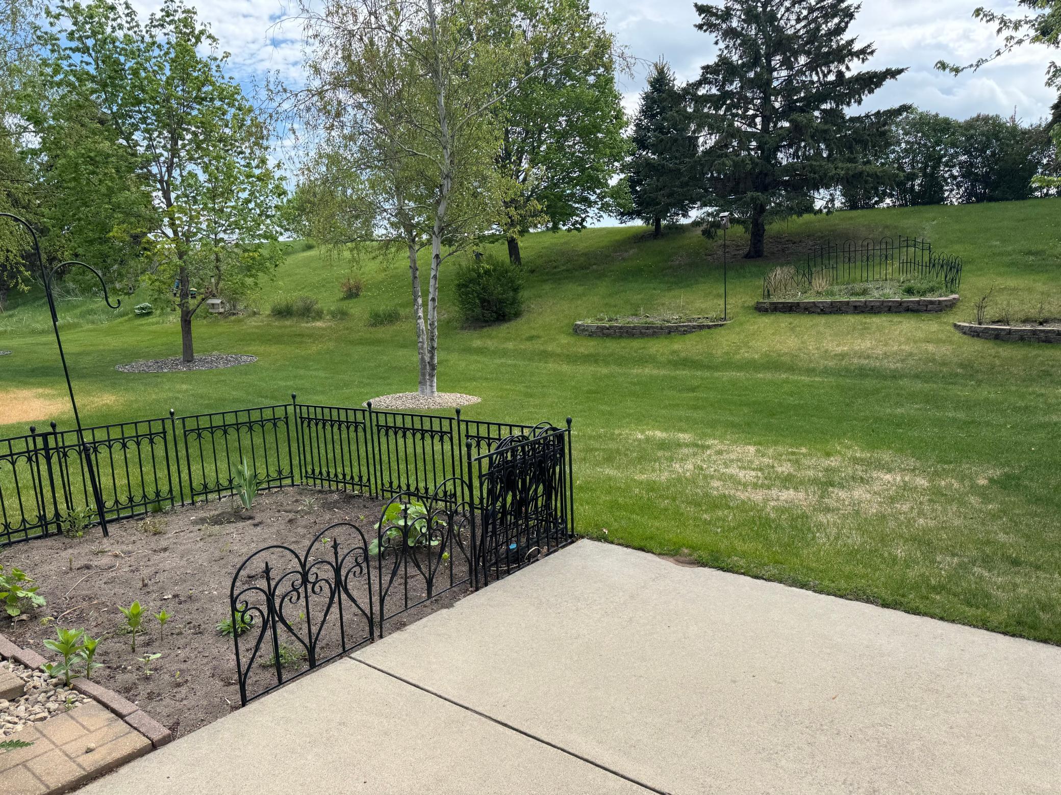 Backyard 1.jpg
