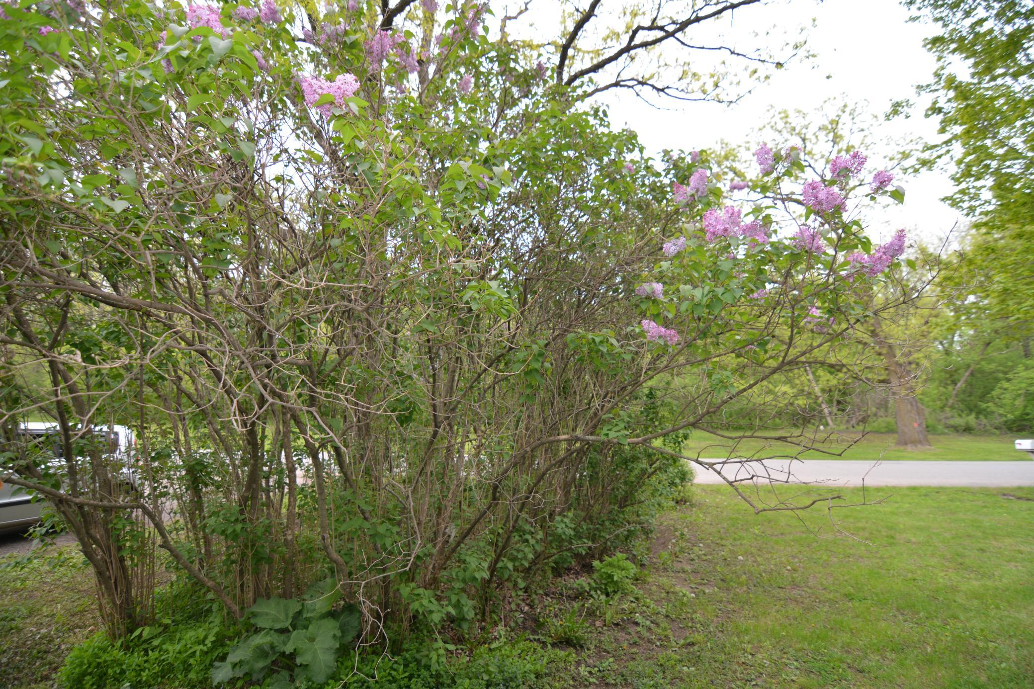 DSC_2817.JPG