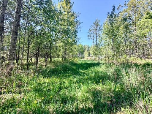 TBD Fraser Road, Iron, MN 55751