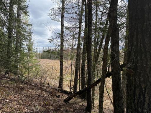 7355 Melrude Rd. W, Cotton, MN 55724