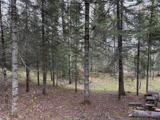 7355 Melrude Rd. W, Cotton, MN 55724