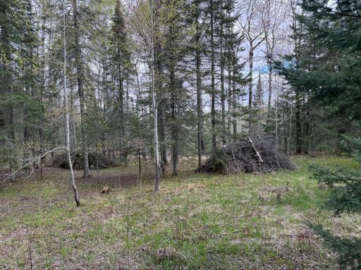 7355 Melrude Rd. W, Cotton, MN 55724