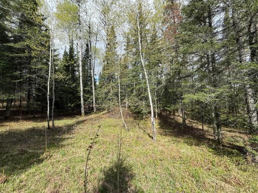 7355 Melrude Rd. W, Cotton, MN 55724