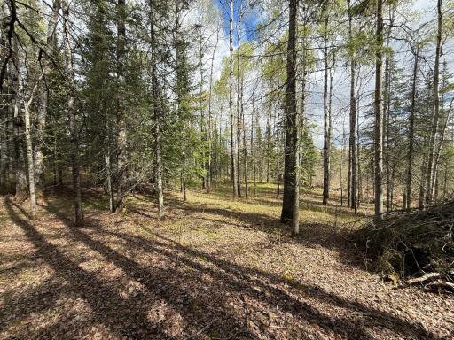 7355 Melrude Rd. W, Cotton, MN 55724